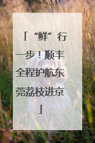 “鲜”行一步！顺丰全程护航东莞荔枝进京
