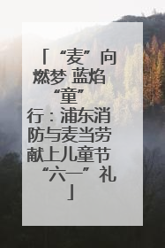 “麦”向燃梦 蓝焰 “童” 行：浦东消防与麦当劳献上儿童节“六一”礼