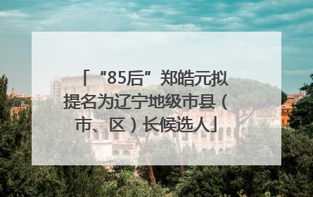 “85后”郑皓元拟提名为辽宁地级市县（市、区）长候选人