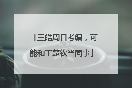 王皓周日考编，可能和王楚钦当同事