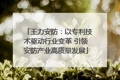 王力安防：以专利技术驱动行业变革 引领安防产业高质量发展