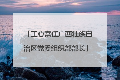 王心富任广西壮族自治区党委组织部部长