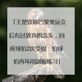 王楚钦称巴黎奥运会后有过放弃的念头，回应球拍2次受损：怕球拍再坏用副板练习