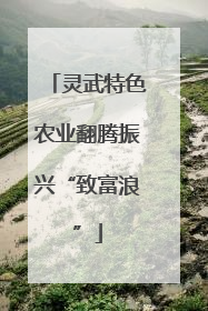 灵武特色农业翻腾振兴“致富浪”