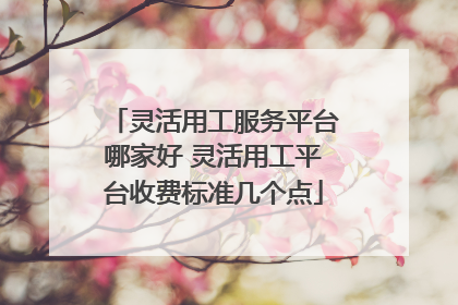 灵活用工服务平台哪家好 灵活用工平台收费标准几个点