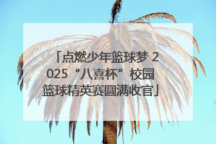 点燃少年篮球梦 2025“八喜杯”校园篮球精英赛圆满收官