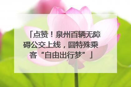 点赞！泉州百辆无障碍公交上线，圆特殊乘客“自由出行梦”