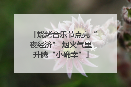 烧烤音乐节点亮“夜经济” 烟火气里升腾“小确幸”