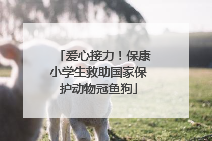爱心接力！保康小学生救助国家保护动物冠鱼狗