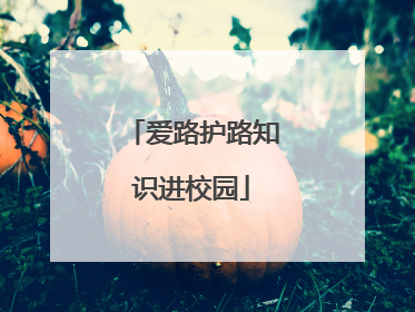 爱路护路知识进校园