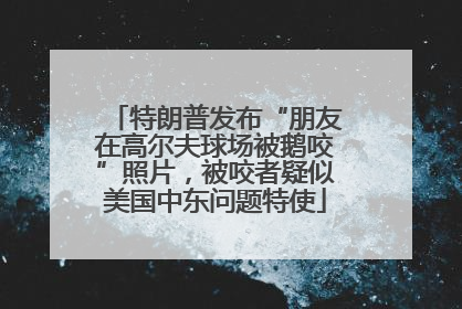 特朗普发布“朋友在高尔夫球场被鹅咬”照片,被咬者疑似美国中东问题特使