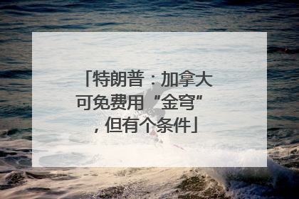 特朗普：加拿大可免费用“金穹”，但有个条件