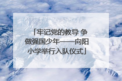 牢记党的教导 争做强国少年——向阳小学举行入队仪式