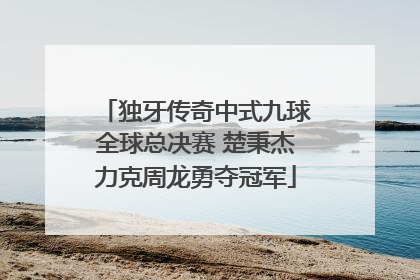 独牙传奇中式九球全球总决赛 楚秉杰力克周龙勇夺冠军