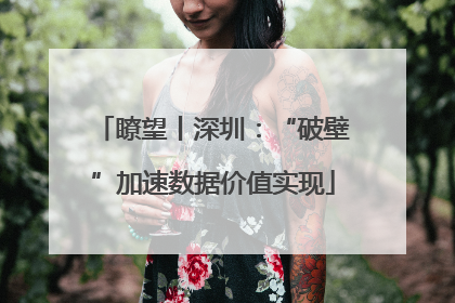 瞭望丨深圳：“破壁”加速数据价值实现