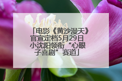 电影《黄沙漫天》官宣定档5月29日 小沈阳领衔“心眼子喜剧”赛道
