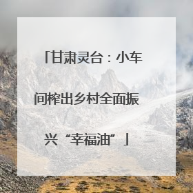 甘肃灵台：小车间榨出乡村全面振兴“幸福油”