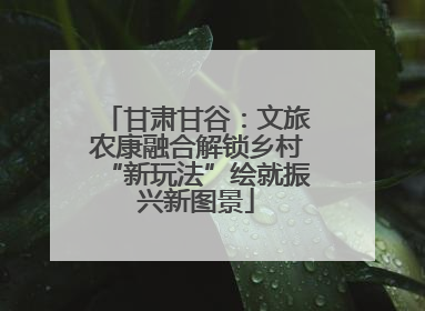 甘肃甘谷：文旅农康融合解锁乡村“新玩法”绘就振兴新图景
