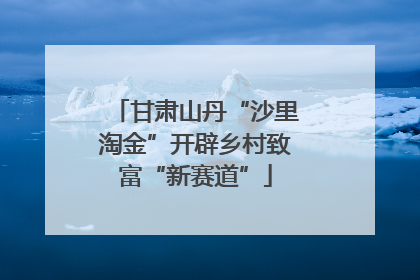 甘肃山丹“沙里淘金”开辟乡村致富“新赛道”