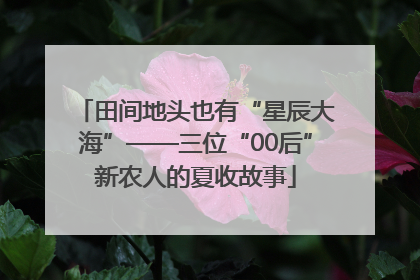 田间地头也有“星辰大海”——三位“00后”新农人的夏收故事
