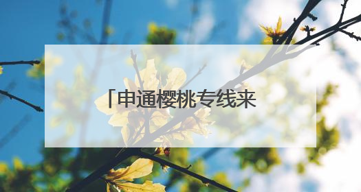 申通樱桃专线来啦！次日达，物流成本省30%