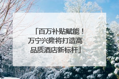 百万补贴赋能！万宁兴隆将打造高品质酒店新标杆