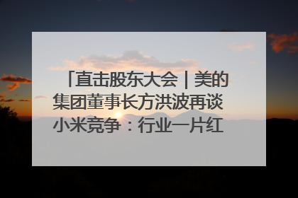 直击股东大会|美的集团董事长方洪波再谈小米竞争:行业一片红海,打法已固定,无论谁胜都是消耗战