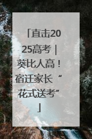 直击2025高考｜葵比人高！宿迁家长“花式送考”