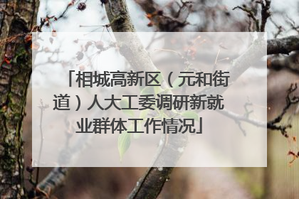 相城高新区（元和街道）人大工委调研新就业群体工作情况