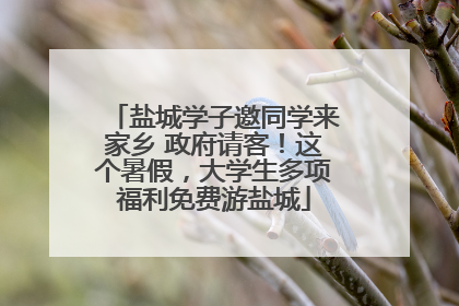 盐城学子邀同学来家乡 政府请客！这个暑假，大学生多项福利免费游盐城