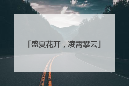 盛夏花开，凌霄攀云