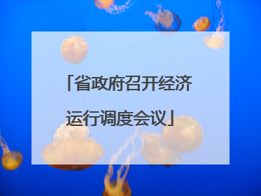 省政府召开经济运行调度会议