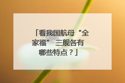 看我国航母“全家福” 三舰各有哪些特点？