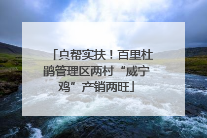 真帮实扶！百里杜鹃管理区两村“威宁鸡”产销两旺