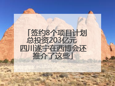 签约8个项目计划总投资203亿元 四川遂宁在西博会还推介了这些