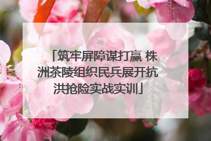 筑牢屏障谋打赢 株洲茶陵组织民兵展开抗洪抢险实战实训
