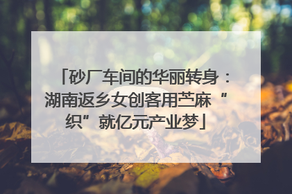 砂厂车间的华丽转身：湖南返乡女创客用苎麻“织”就亿元产业梦