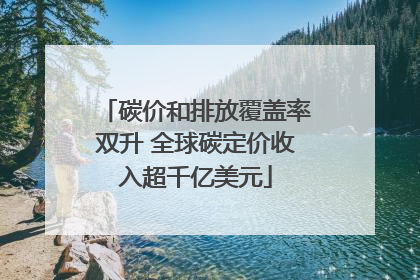 碳价和排放覆盖率双升 全球碳定价收入超千亿美元