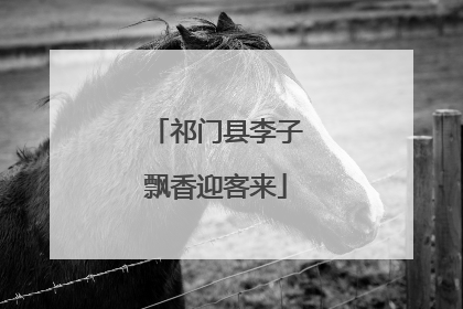 祁门县李子飘香迎客来