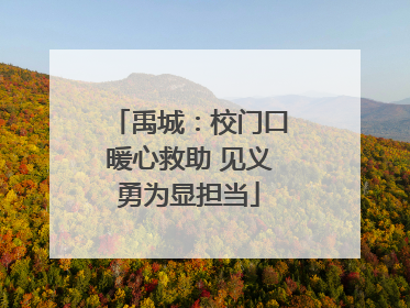 禹城：校门口暖心救助 见义勇为显担当