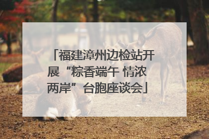 福建漳州边检站开展“粽香端午 情浓两岸”台胞座谈会