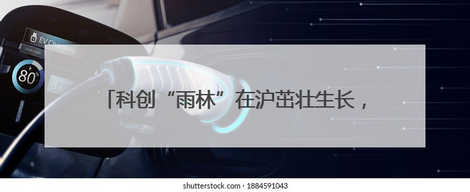 科创“雨林”在沪茁壮生长，“硬核”成果吸引全球目光