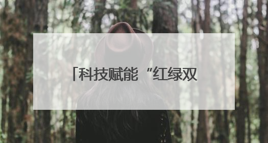 科技赋能“红绿双核”发展 探索生态经济“湖南路径”