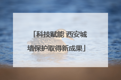 科技赋能 西安城墙保护取得新成果