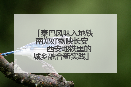 秦巴风味入地铁 南郑好物映长安——西安地铁里的城乡融合新实践