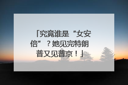 究竟谁是“女安倍”？她见完特朗普又见普京！