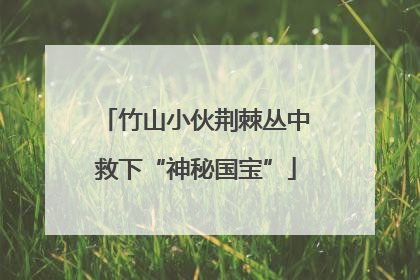 竹山小伙荆棘丛中救下“神秘国宝”