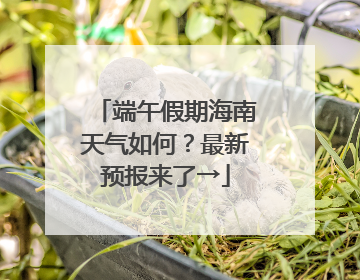 端午假期海南天气如何？最新预报来了→