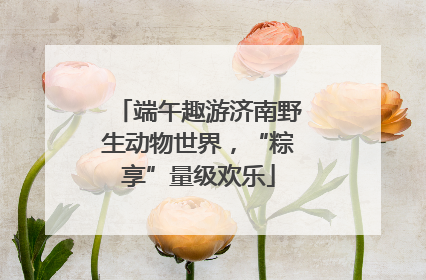 端午趣游济南野生动物世界，“粽享”量级欢乐