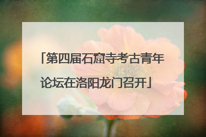 第四届石窟寺考古青年论坛在洛阳龙门召开